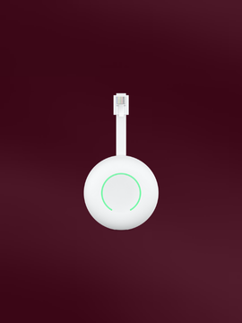 Compatibel met Homewizard P1